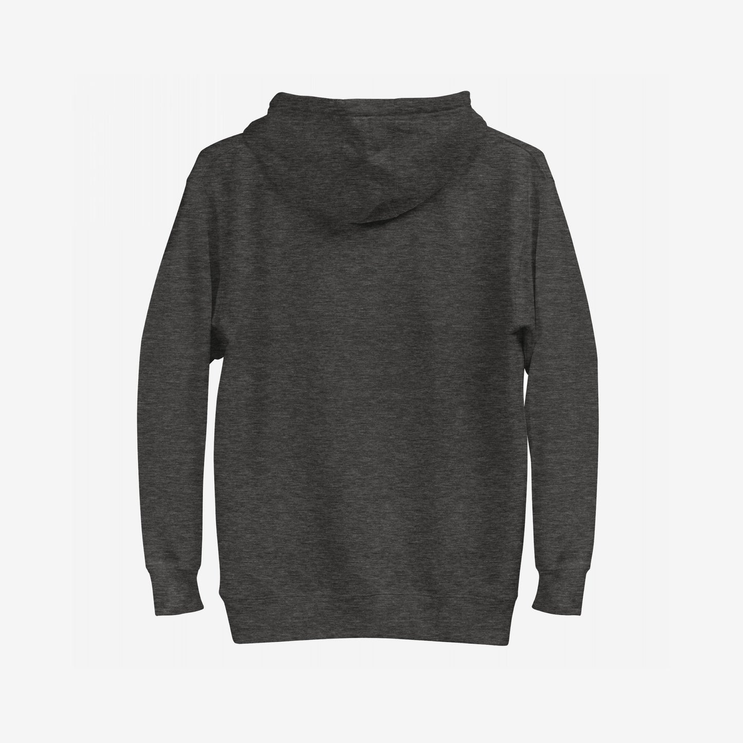 Back view of the Anti-Fascist Hoodie & Sweatshirt in dark charcoal-gray, showcasing its plain design. Ideal for expressing solidarity and supporting equality without visible logos or graphics.