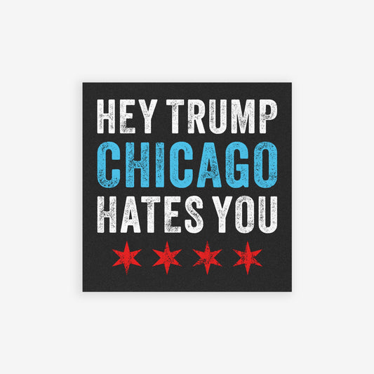 Chicago Hates Trump Sticker & Magnet features a bold message against a blurred aerial view of Chicago. Distressed text and stars from the city flag emphasize its anti-MAGA sentiment and activist spirit.
