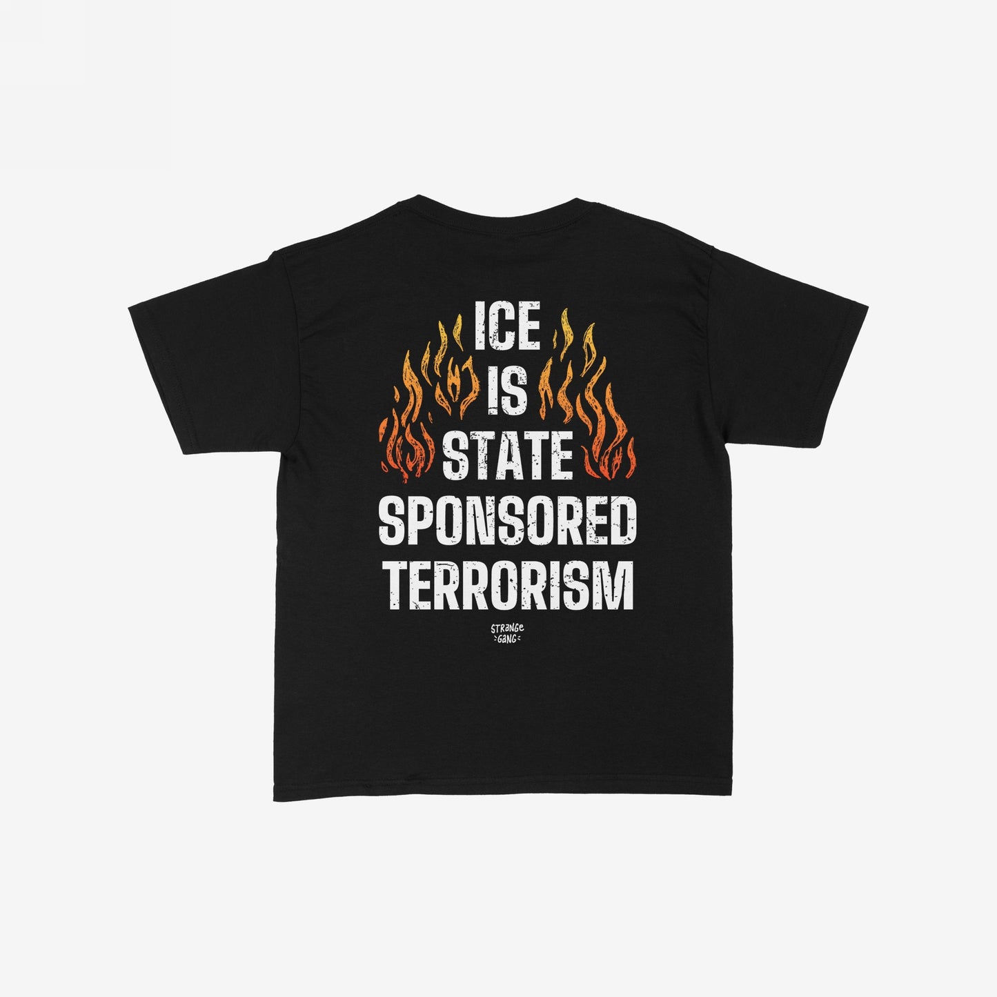 Back view of the ICE Is State Sponsored Terrorism Women's Baby Tee featuring bold distressed text and stylized flames, conveying a powerful statement on a black cropped T-shirt.