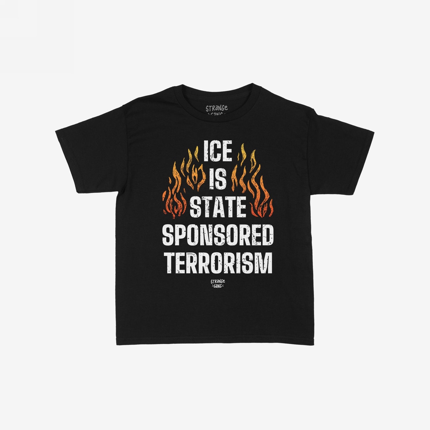 ICE Is State Sponsored Terrorism T-shirt featuring bold distressed text and stylized flames, embodies a strong protest statement advocating for immigrant justice and rejecting cruelty. Available in men/unisex and kids' sizes.