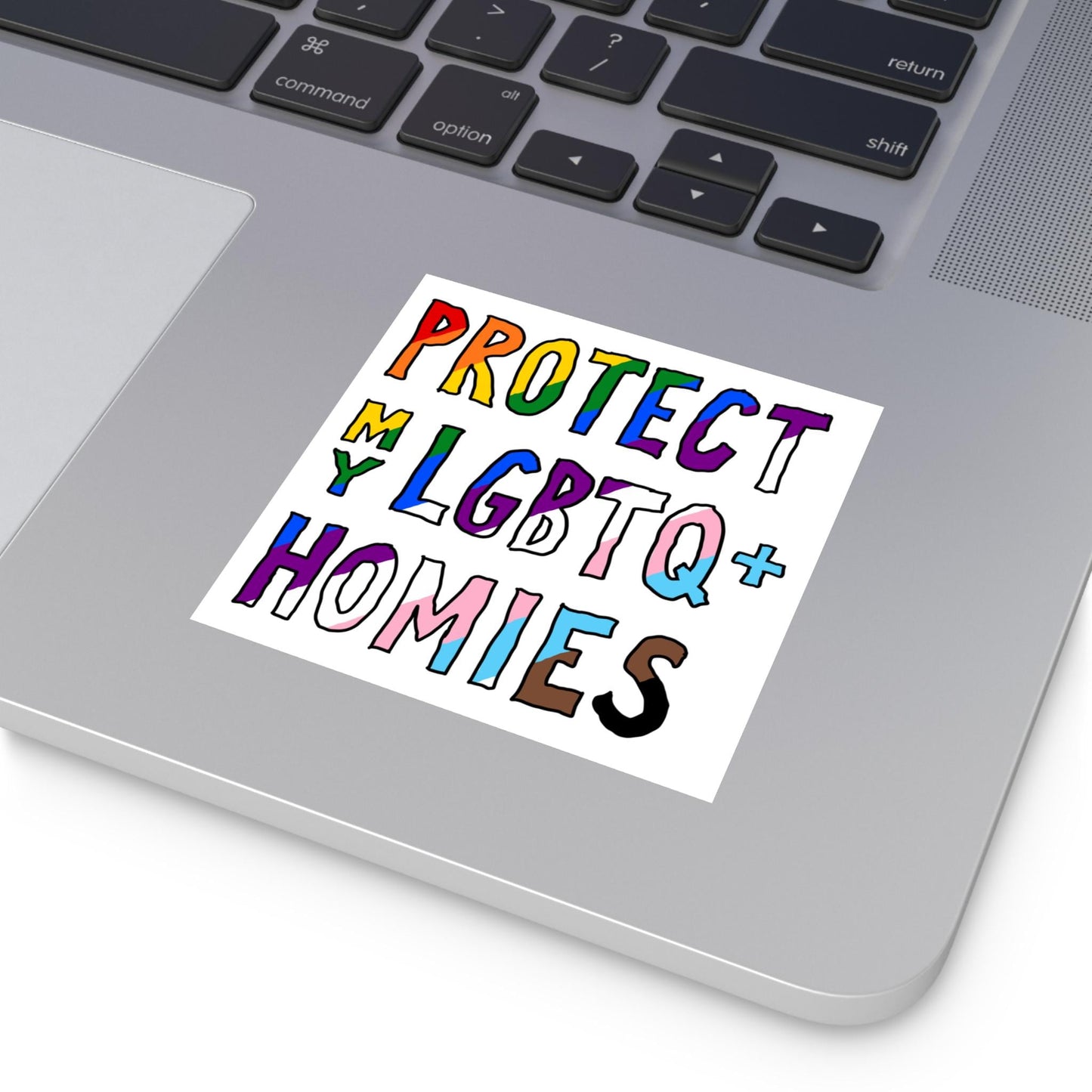 Protect My LGBTQ+ Homies Sticker & Magnet