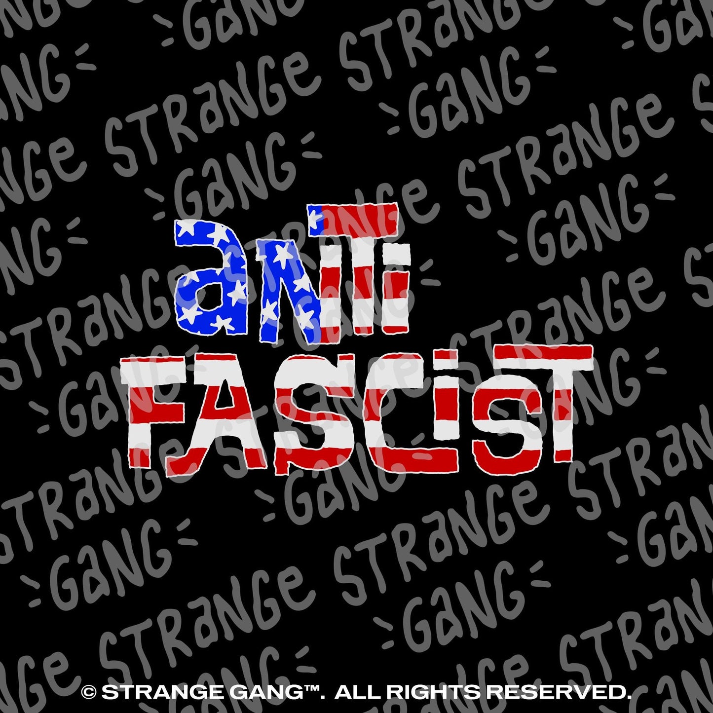 Anti Fascist USA Hoodie