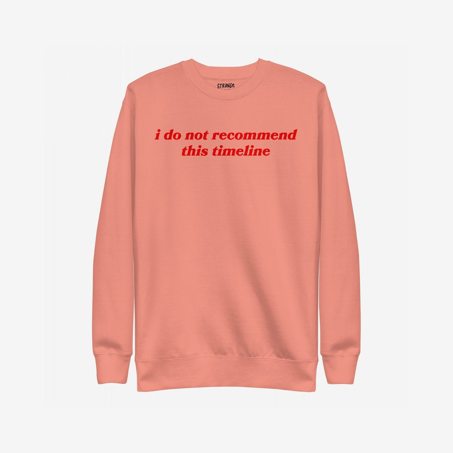 Timeline Hoodie & Sweatshirt featuring the phrase i do not recommend this timeline in red serif font on the chest, reflecting dry wit and dystopian fashion.
