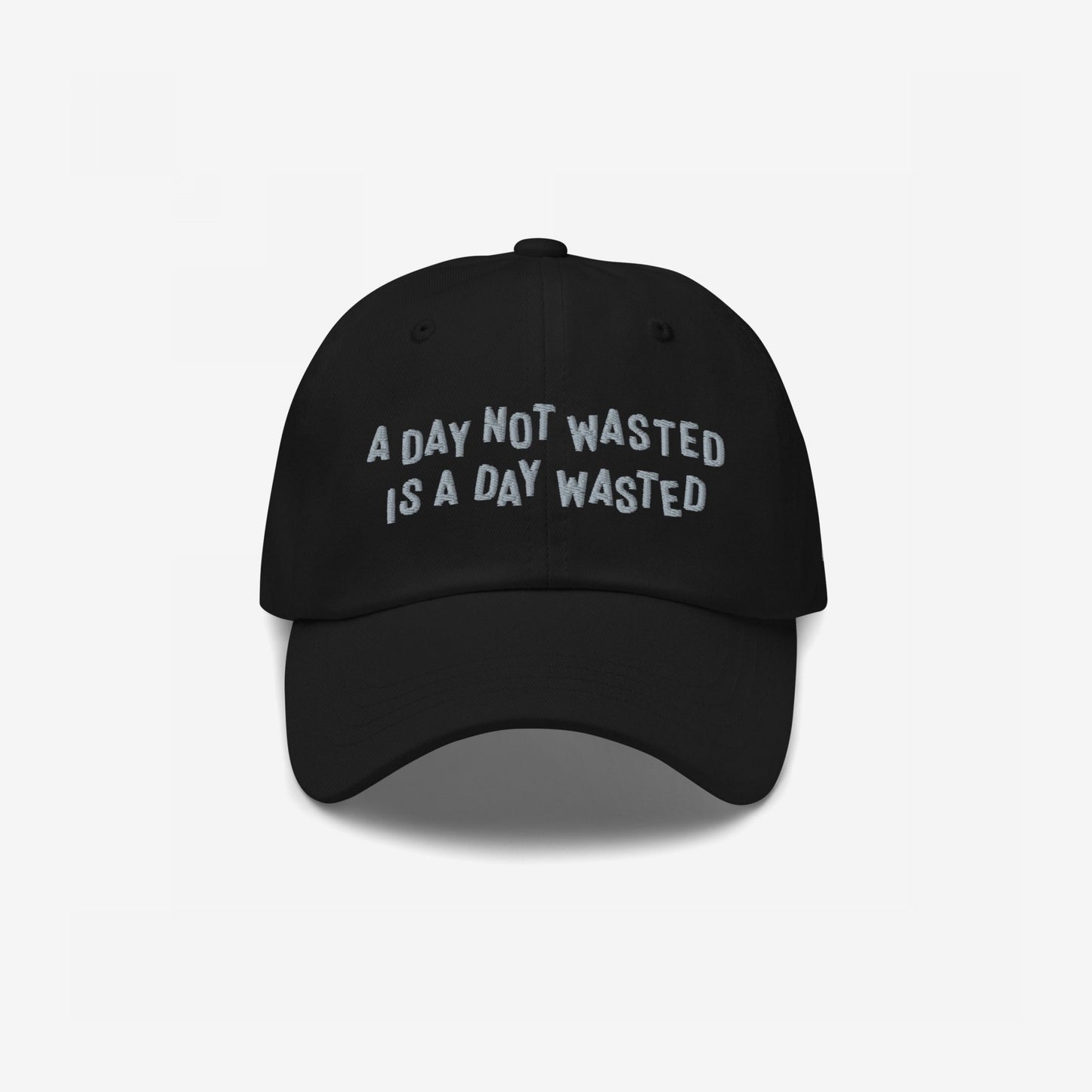 Wasted Days Hat