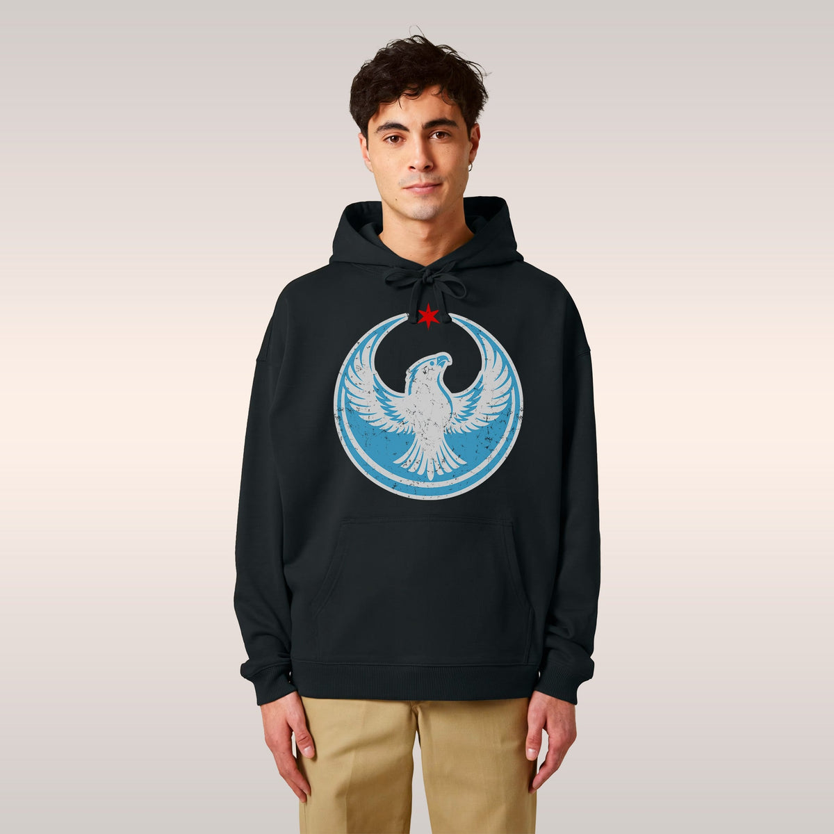 Chicago Rebel Alliance hoodie with a peregrine falcon and a Chicago star