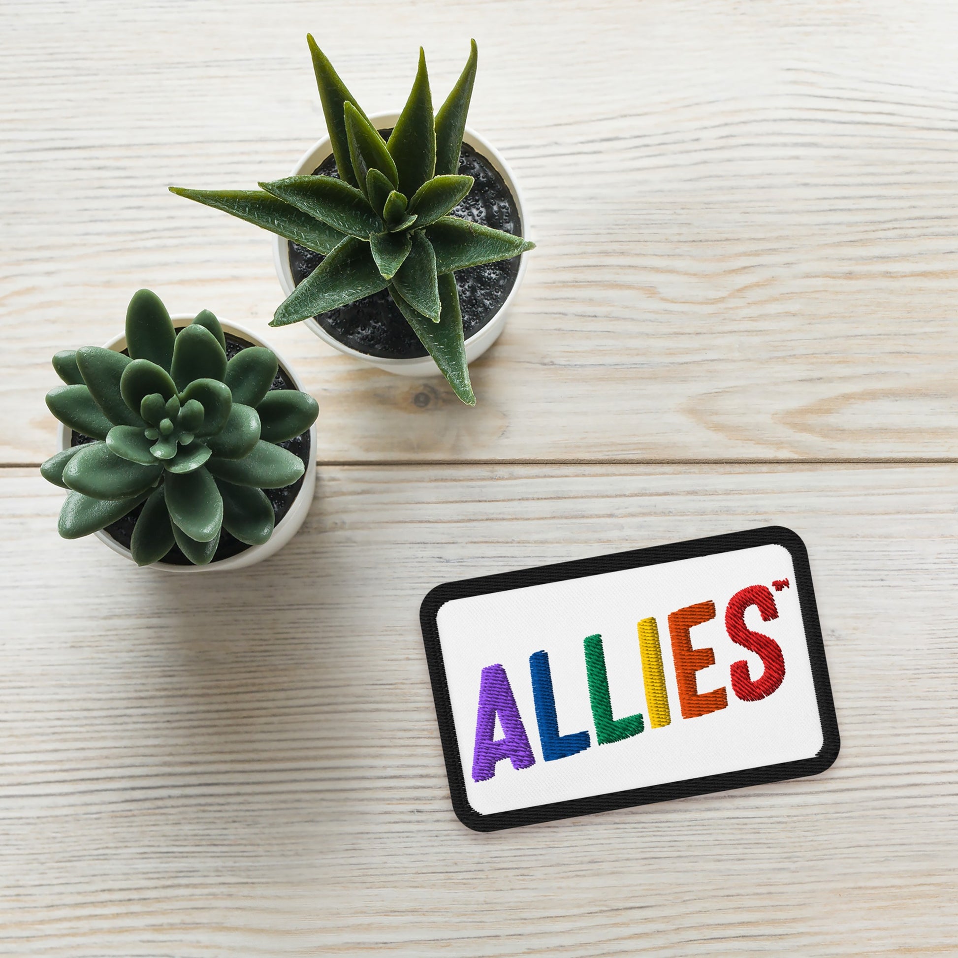 Allies Rainbow Patch with rainbow-colored ALLIES embroidery on a white background, beside two potted succulents on a wood surface, symbolizing LGBTQ+ support and allyship.