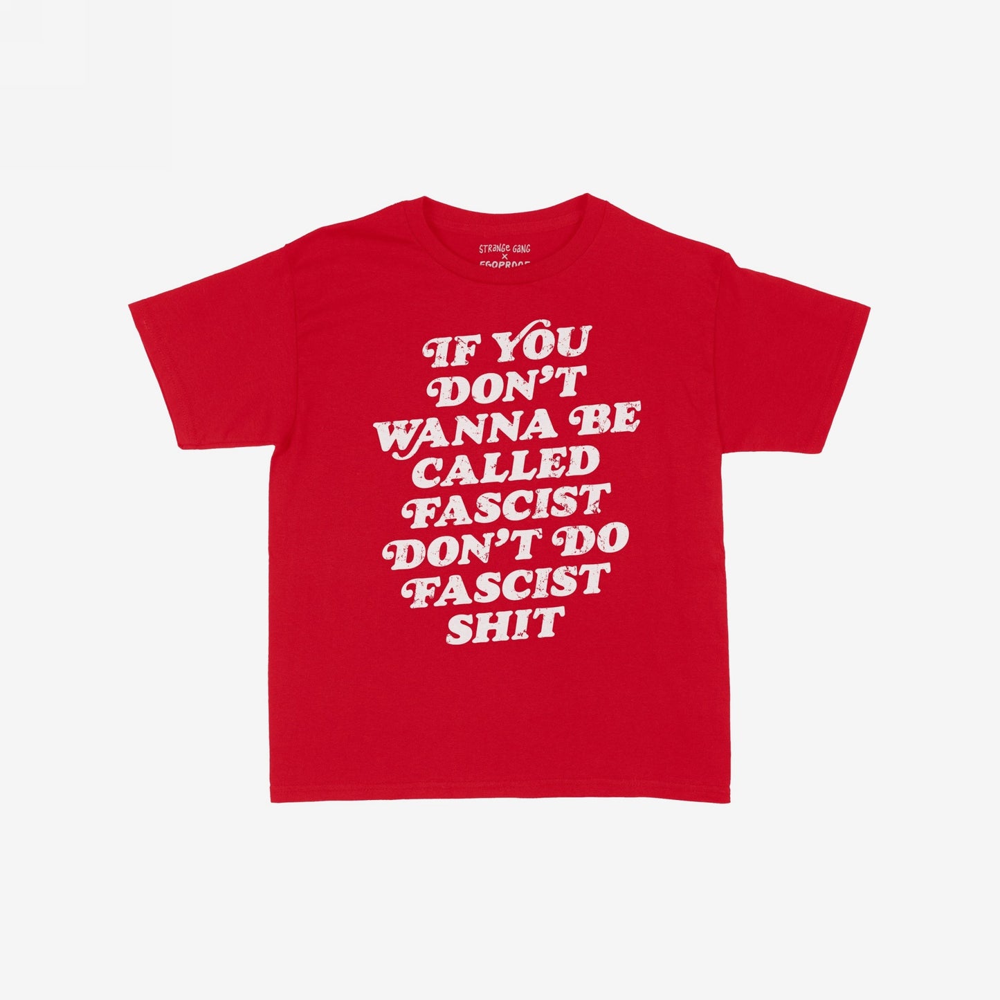 Anti-Fascist Retro T-shirt featuring bold, distressed white lettering of the slogan on a plain layout, embodying a strong message against fascism. Designed to empower and provoke thought.