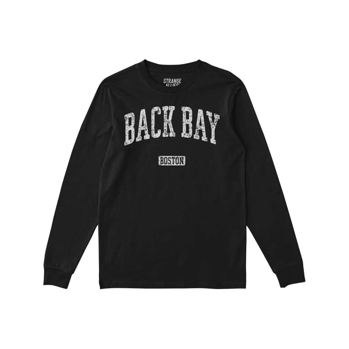 Back Bay Boston Long Sleeve T-shirt