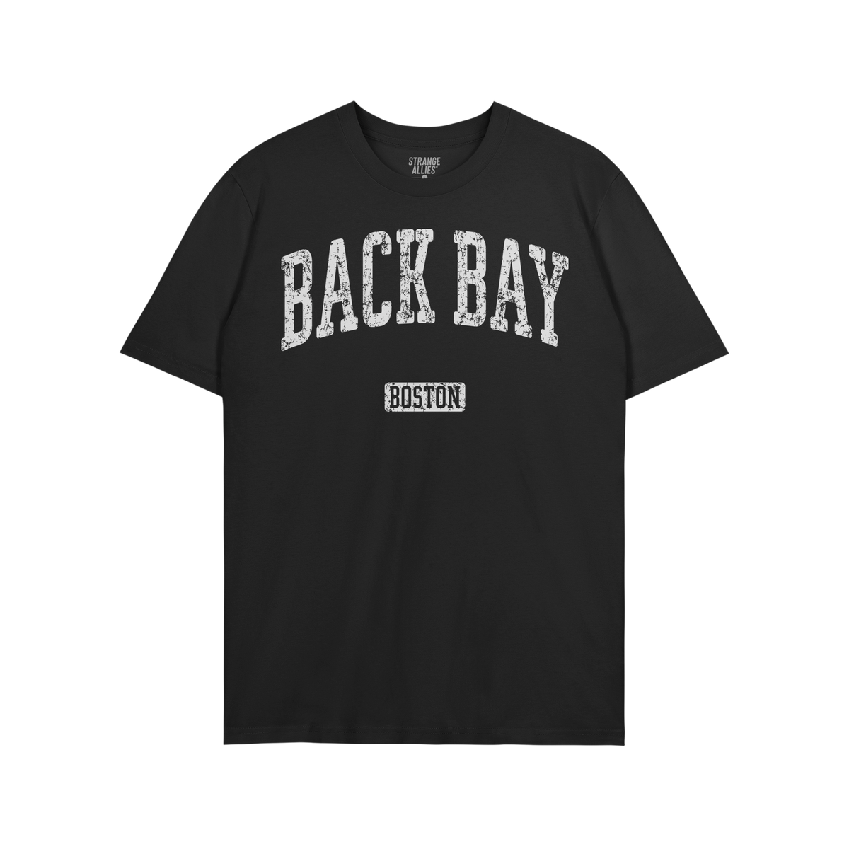Back Bay Boston T-shirt