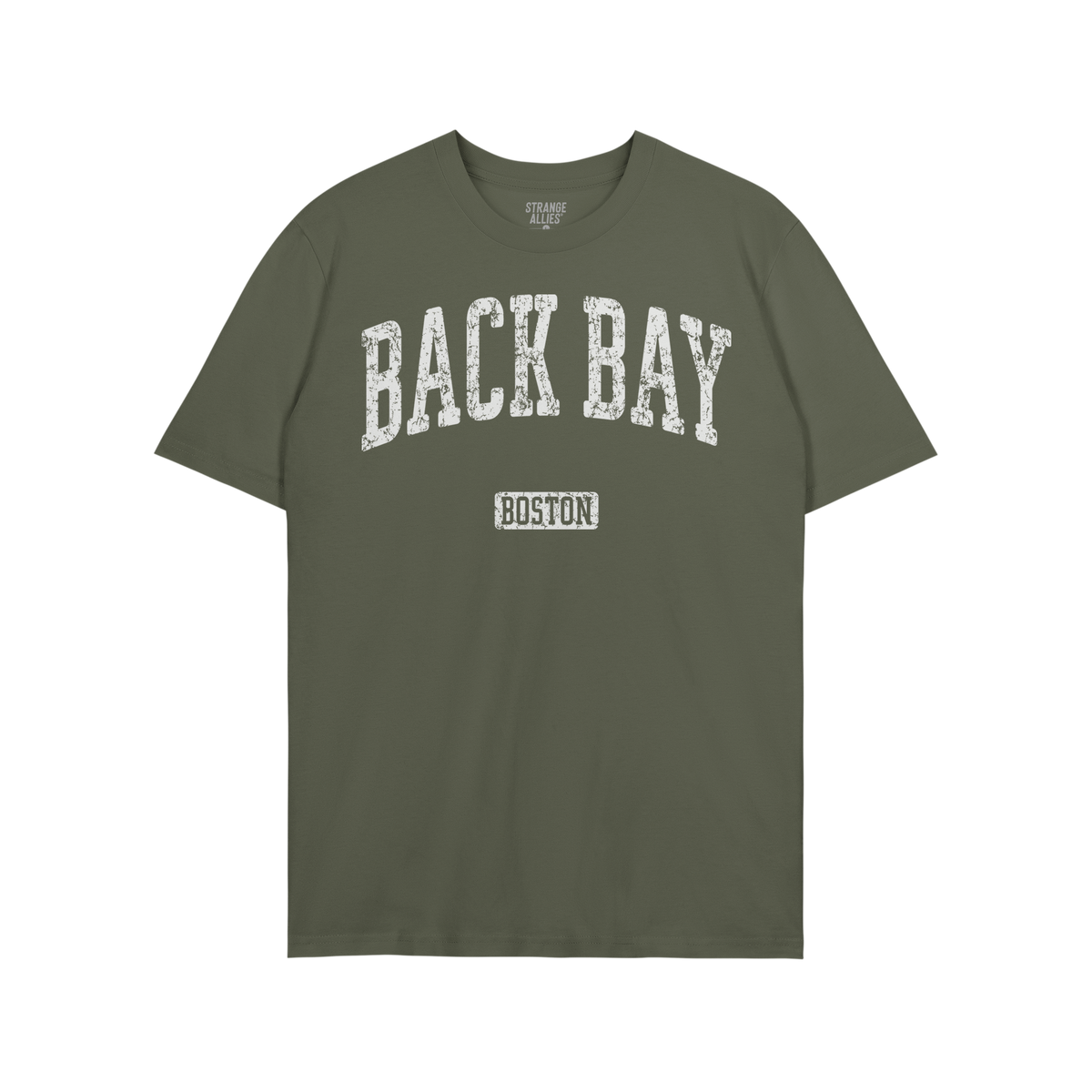 Back Bay Boston T-shirt