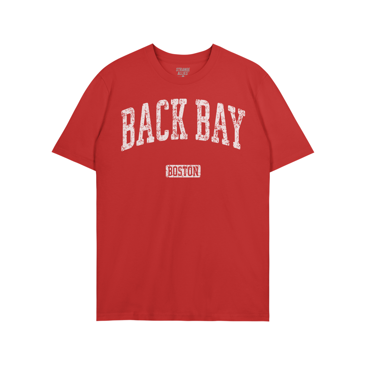 Back Bay Boston T-shirt
