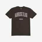 Bainbridge Washington T-shirt