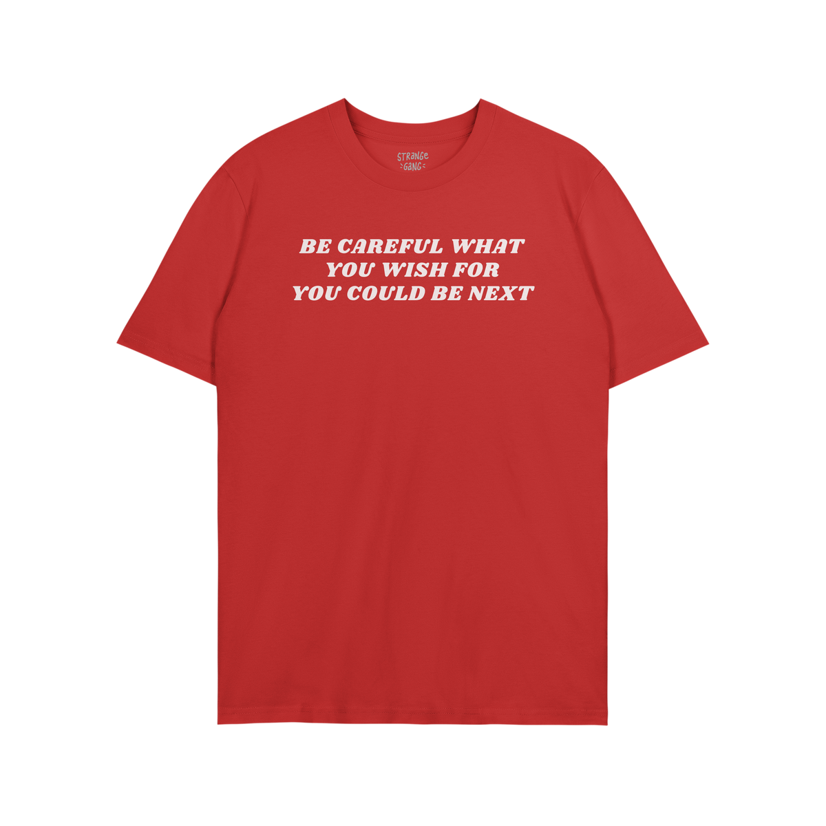Be Careful Shirt with bold slogan against authoritarianism printed on chest, embodying a Y2K style and activist spirit. Perfe