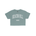 Beacon Hill Boston Crop Top