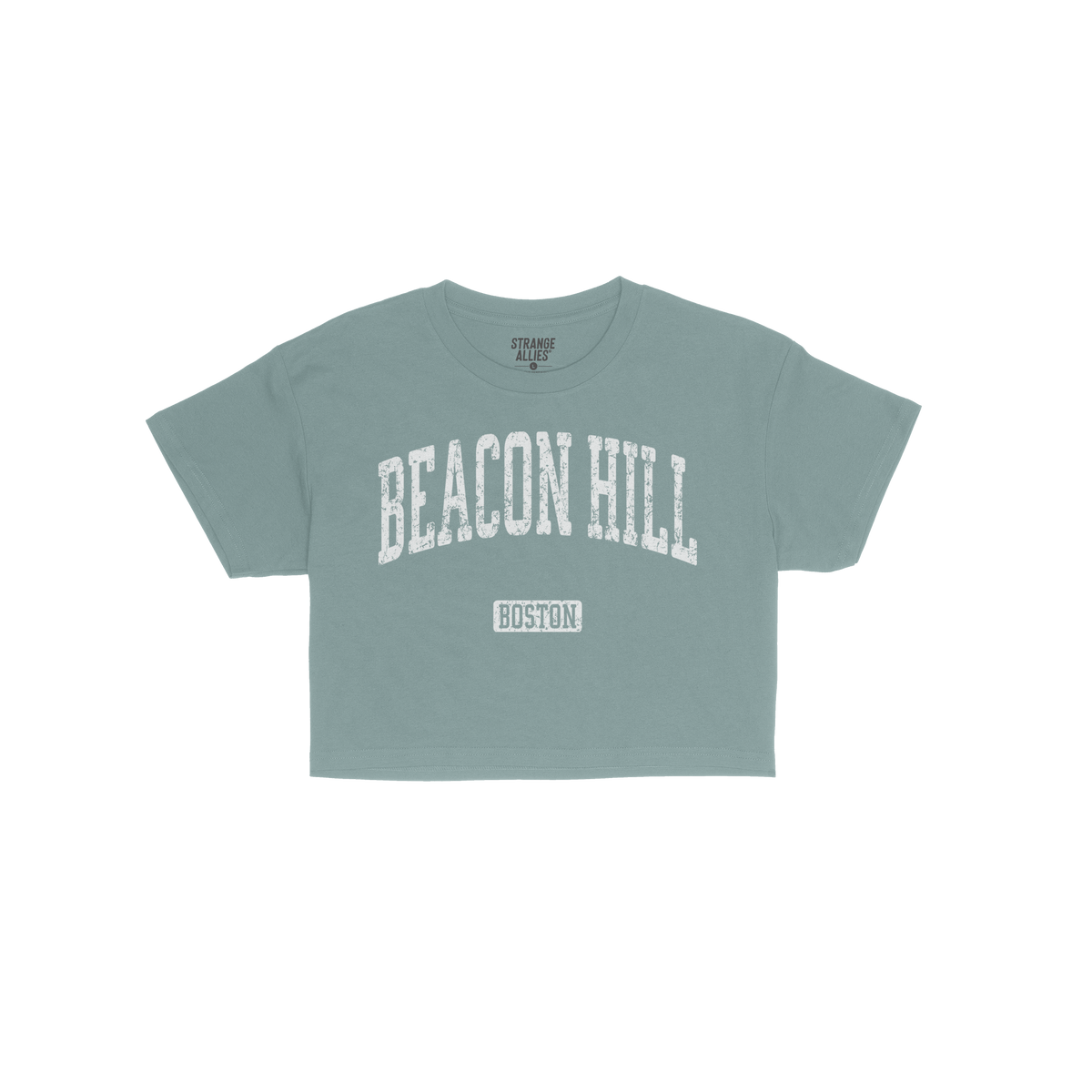Beacon Hill Boston Crop Top