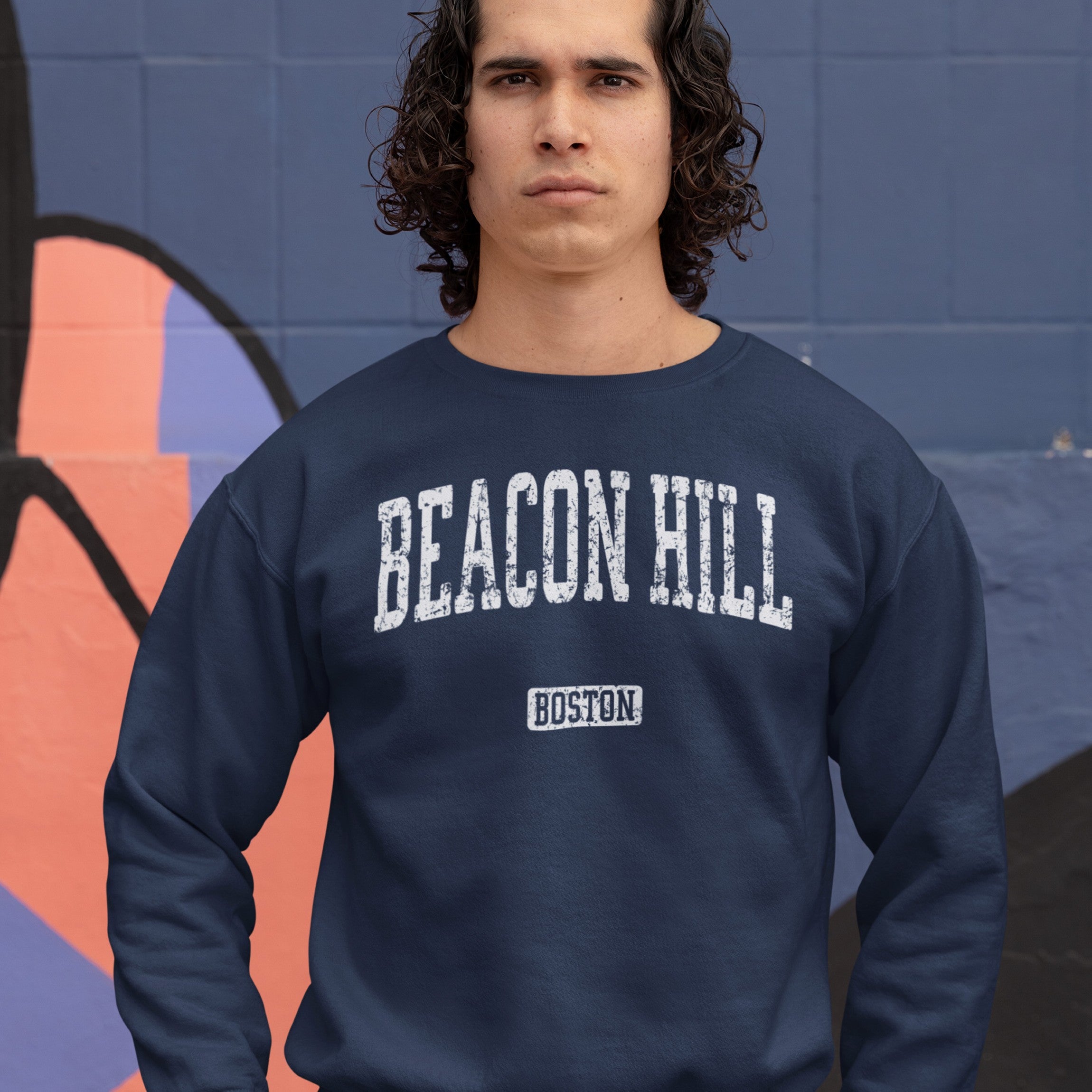 Beacon Hill Boston Hoodie & Sweatshirt