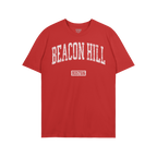 Beacon Hill Boston T-shirt
