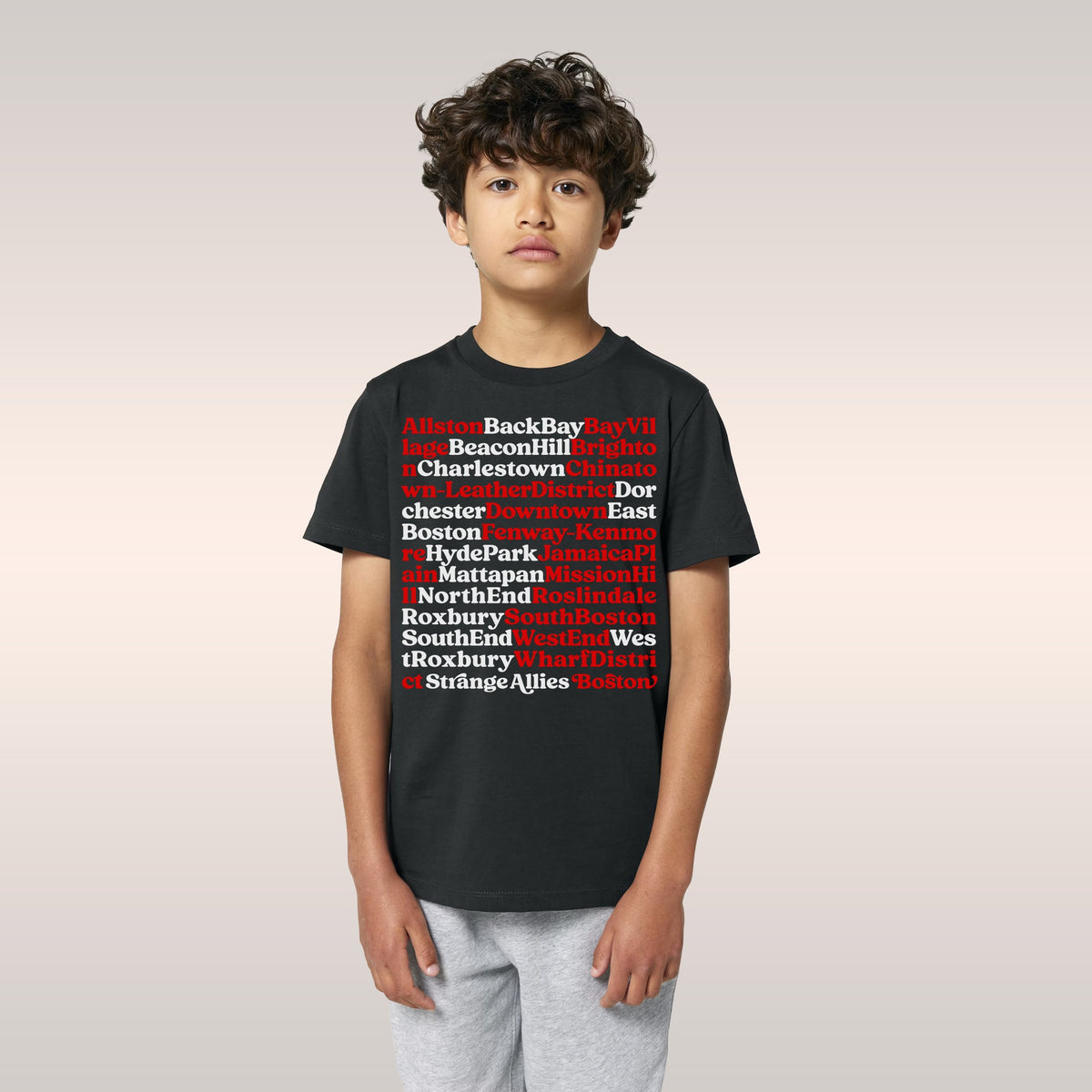 Boston Neighborhoods Kids T-shirt