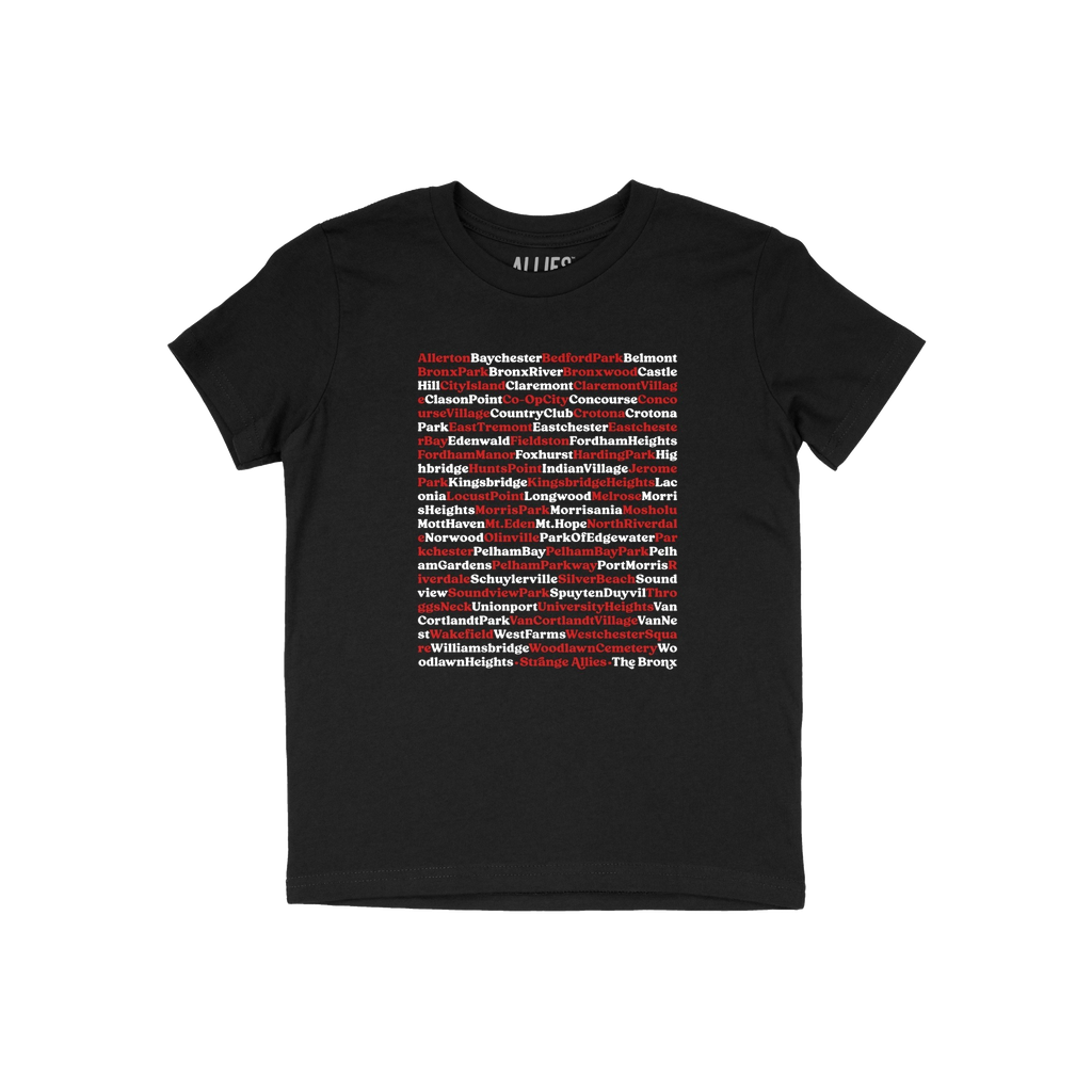 Bronx Neighborhoods Kids T-shirt