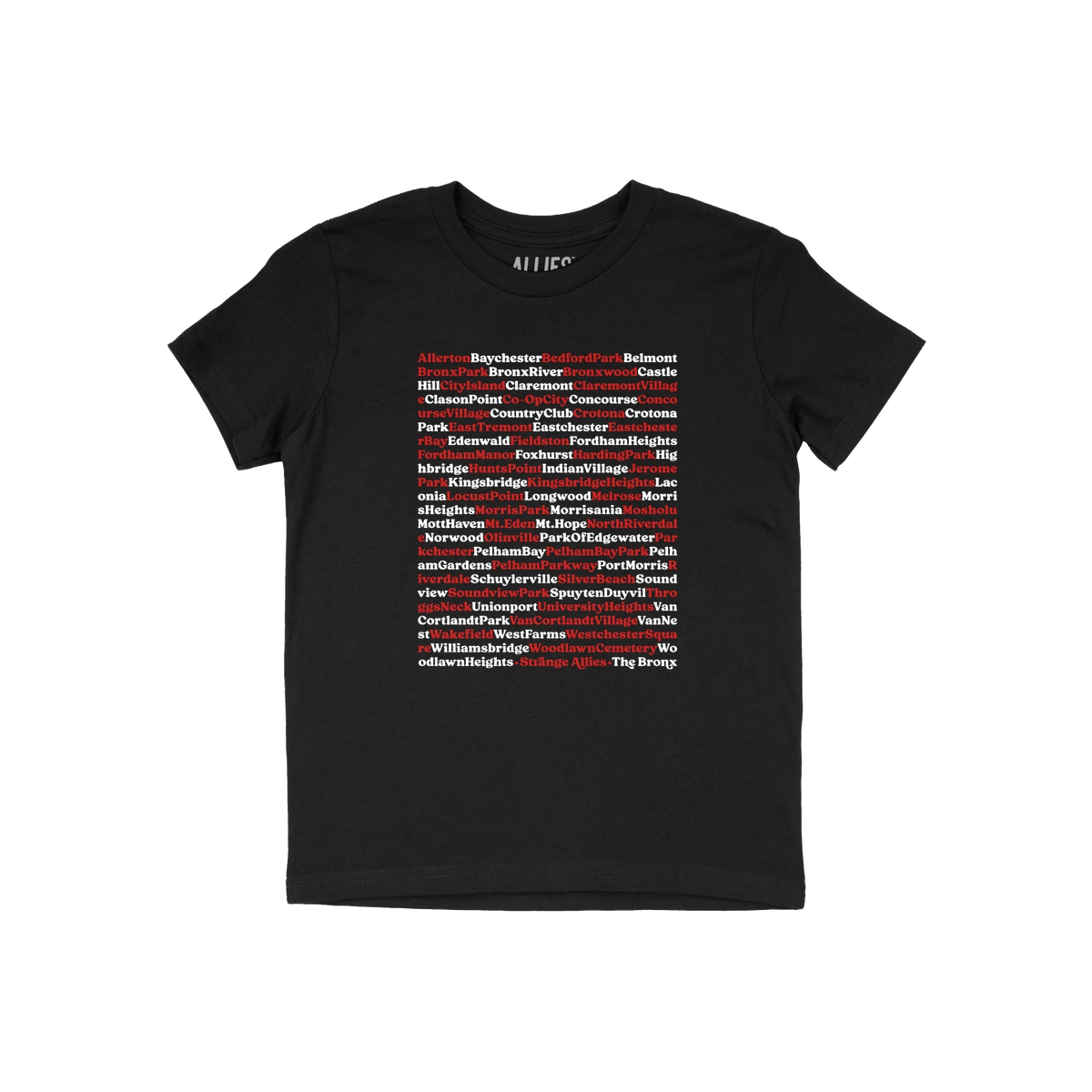 Bronx Neighborhoods Kids T-shirt