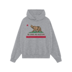 The California No Kings Flag Shirt features a light-gray hoodie with a bear graphic and “NO KINGS NO MASTERS” slogan, ins