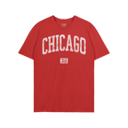 Chicago 312 T-shirt