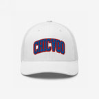 Chicago Flipped Hat