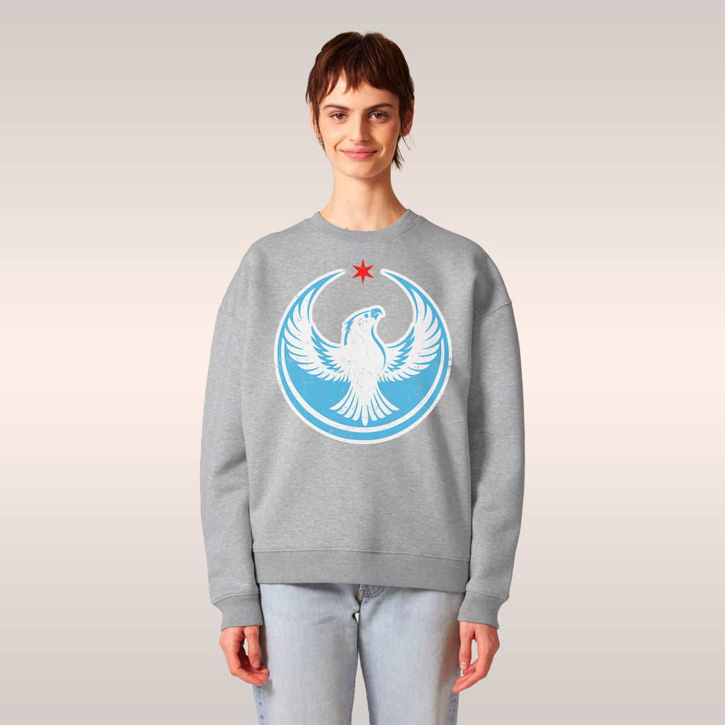 Chicago Rebel Alliance Sweatshirt