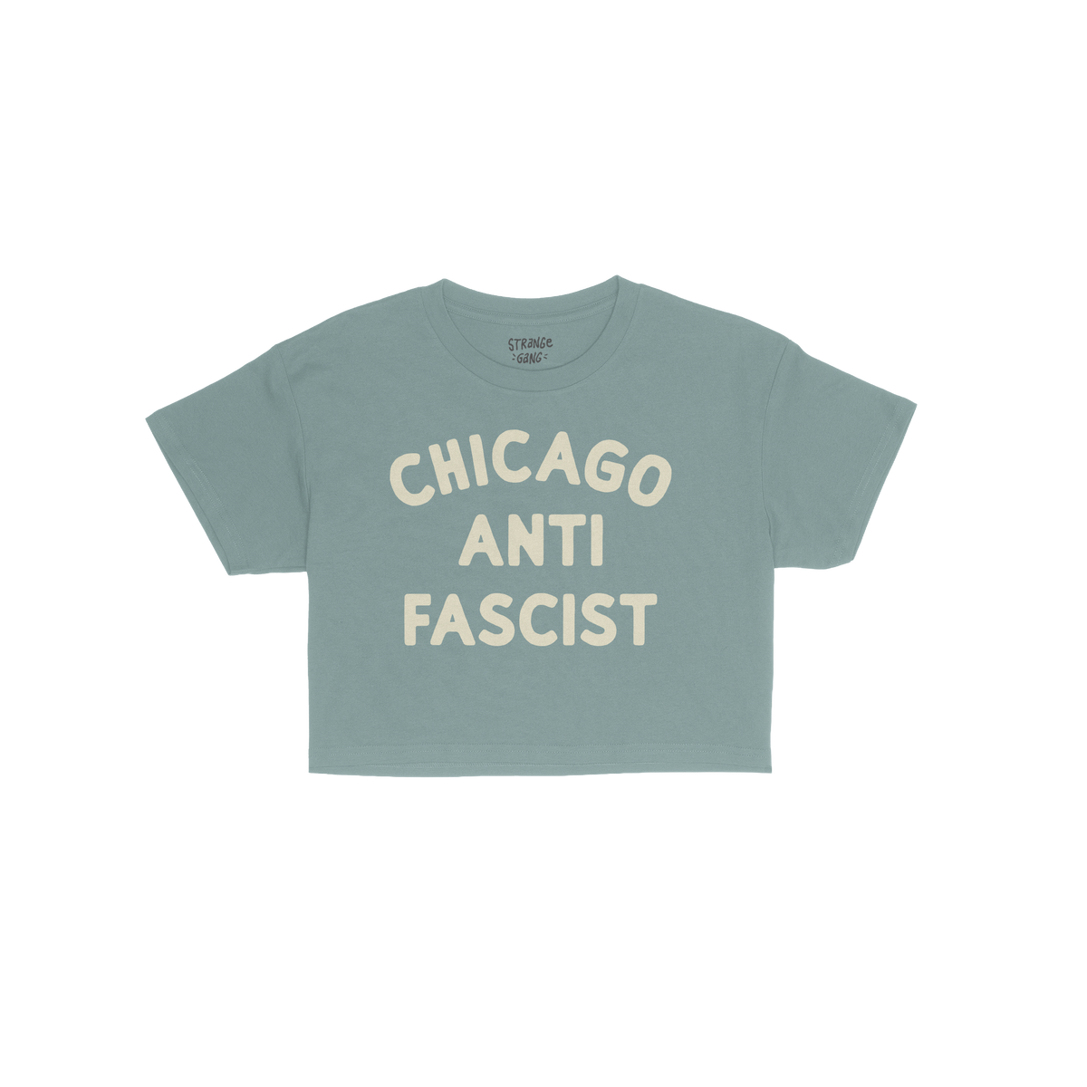 Custom Anti-Fascist Women's Baby Tee featuring bold NEW YORK ANTI FASCIST text in white block letters, embodying a retro Y2K 