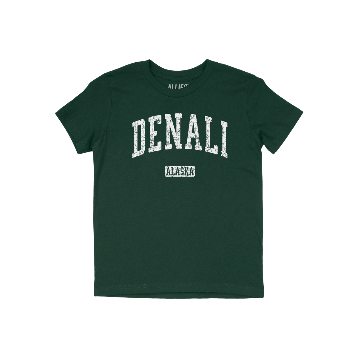 Denali Alaska Kids T-shirt