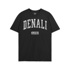 Denali Alaska T-shirt