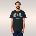 Denali Alaska T-shirt