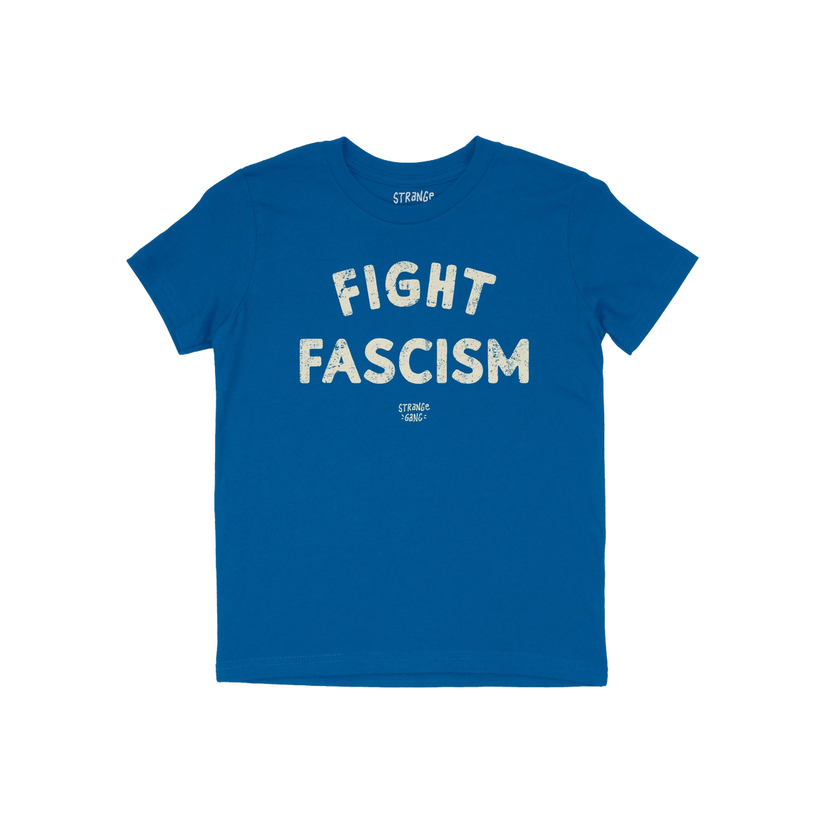 Blue Fight Fascism T-shirt featuring bold, distressed off-white lettering, embodying an anti-fascist message for activism and