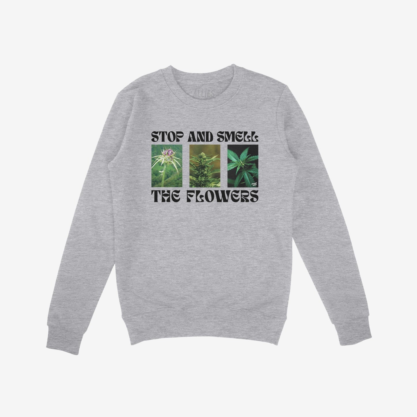 Flowers Hoodie & Sweatshirt features three cannabis plant images with STOP AND SMELL THE FLOWERS text, perfect for those embracing bold, rebellious style and celebrating nature's beauty.