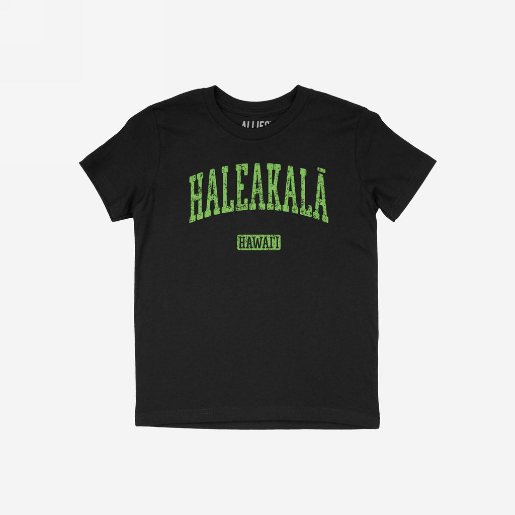Haleakala Hawaii T-shirt