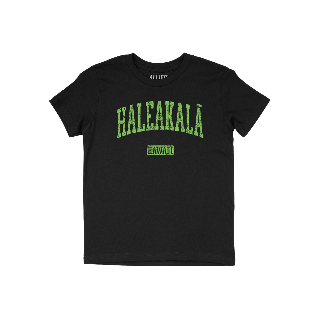 Haleakala Hawaii Kids T-shirt
