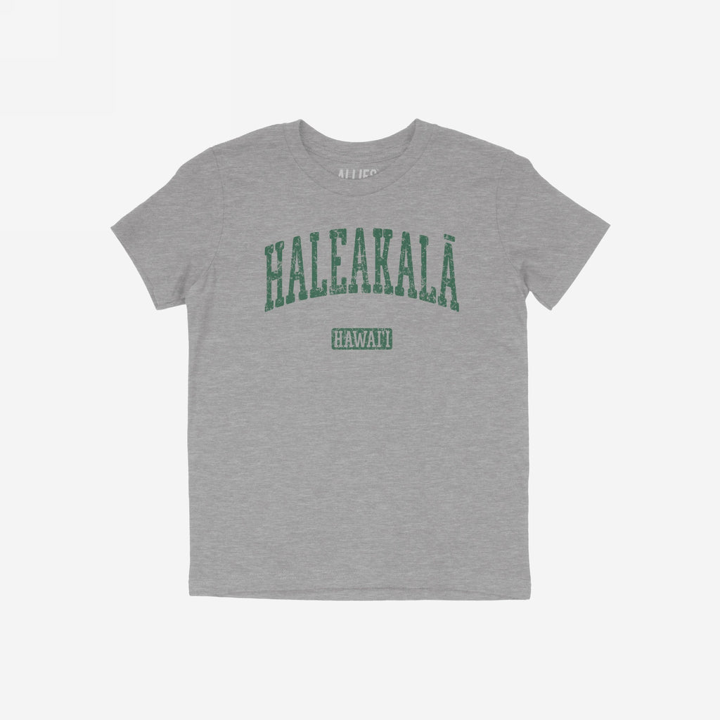 Haleakala Hawaii T-shirt