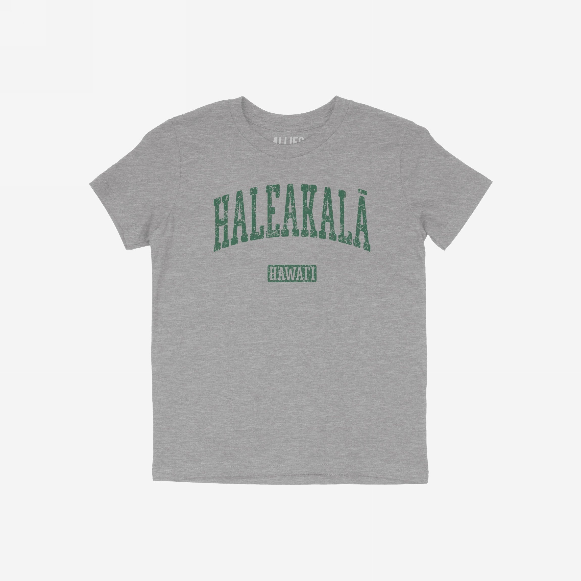 Haleakala Hawaii T-shirt
