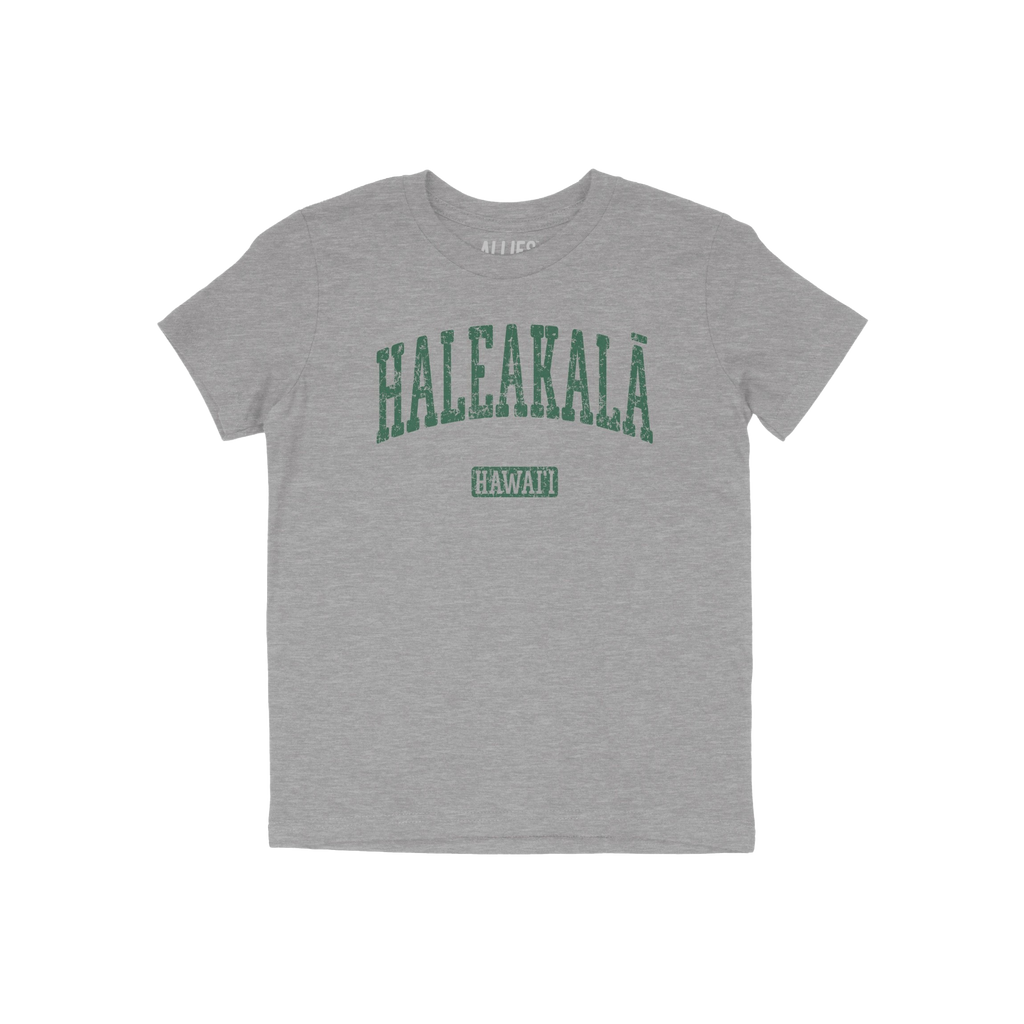 Haleakala Hawaii Kids T-shirt