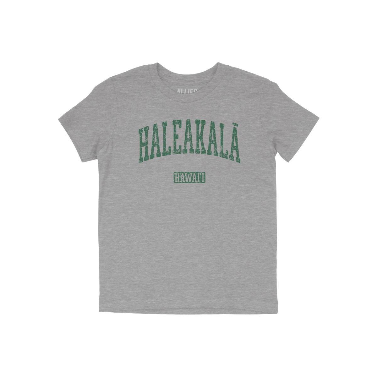 Haleakala Hawaii Kids T-shirt