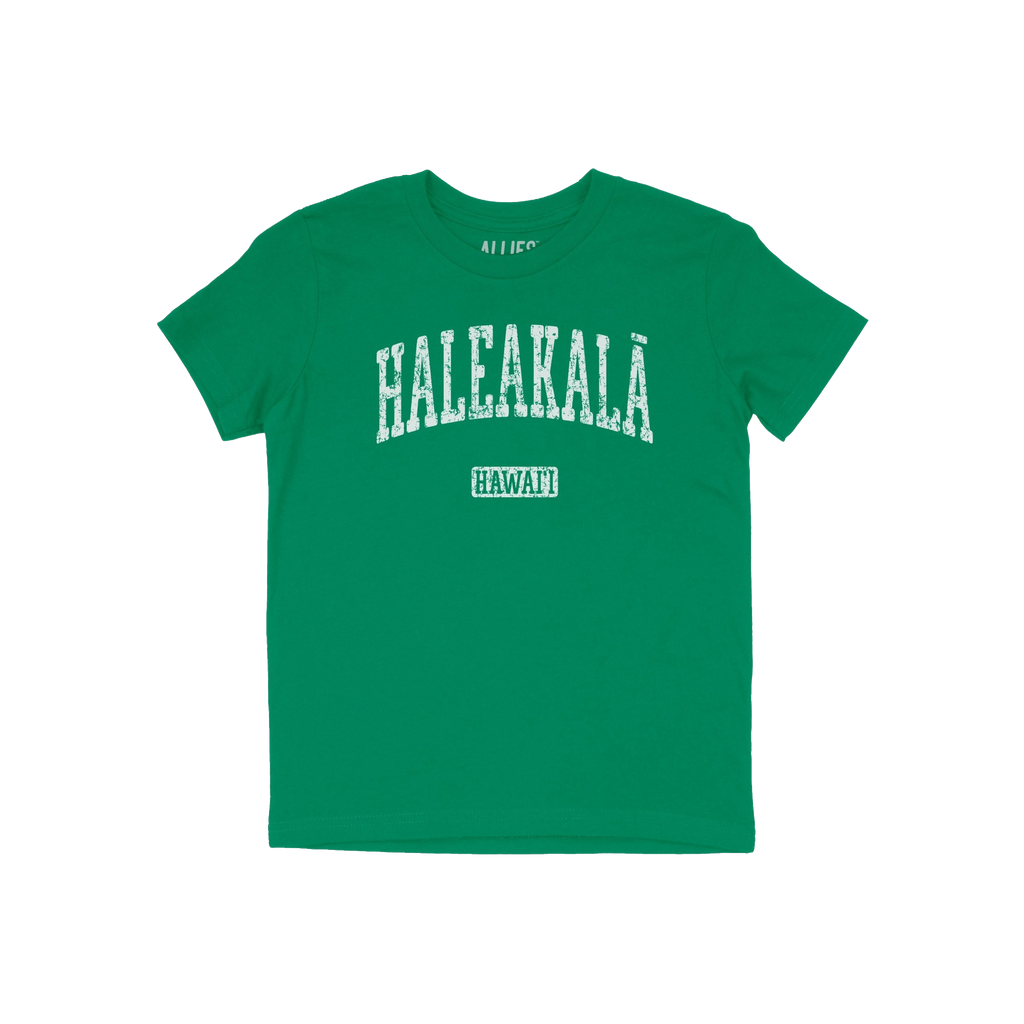 Haleakala Hawaii Kids T-shirt