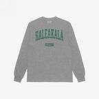 Haleakala Hawaii T-shirt