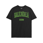Haleakala Hawaii T-shirt