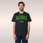 Haleakala Hawaii T-shirt