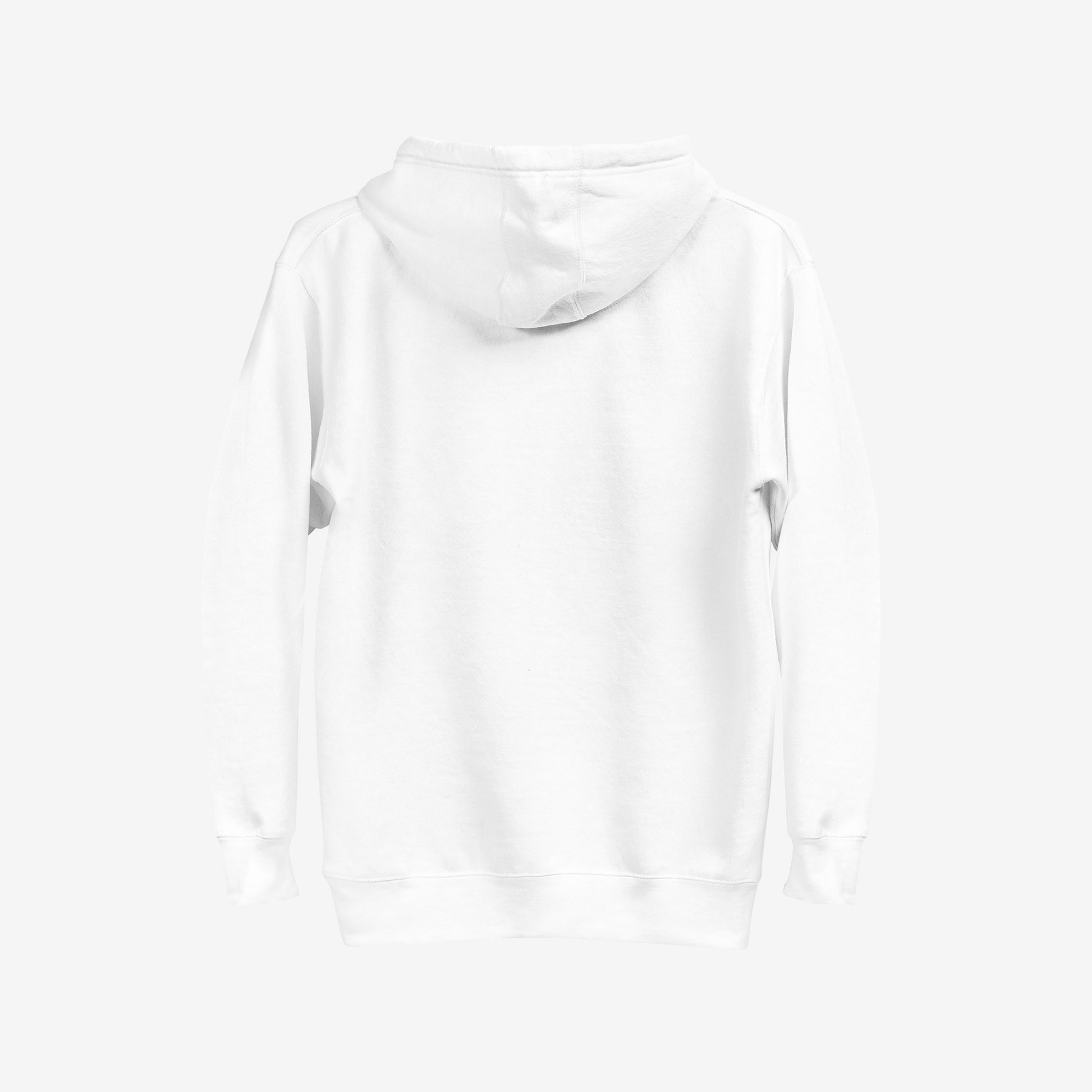Washington DC No Kings Flag Hoodie & Sweatshirt, showcasing a plain white pullover with a back view, long sleeves, ribbed cuffs and hem, and an attached hood, embodying a statement of resistance.