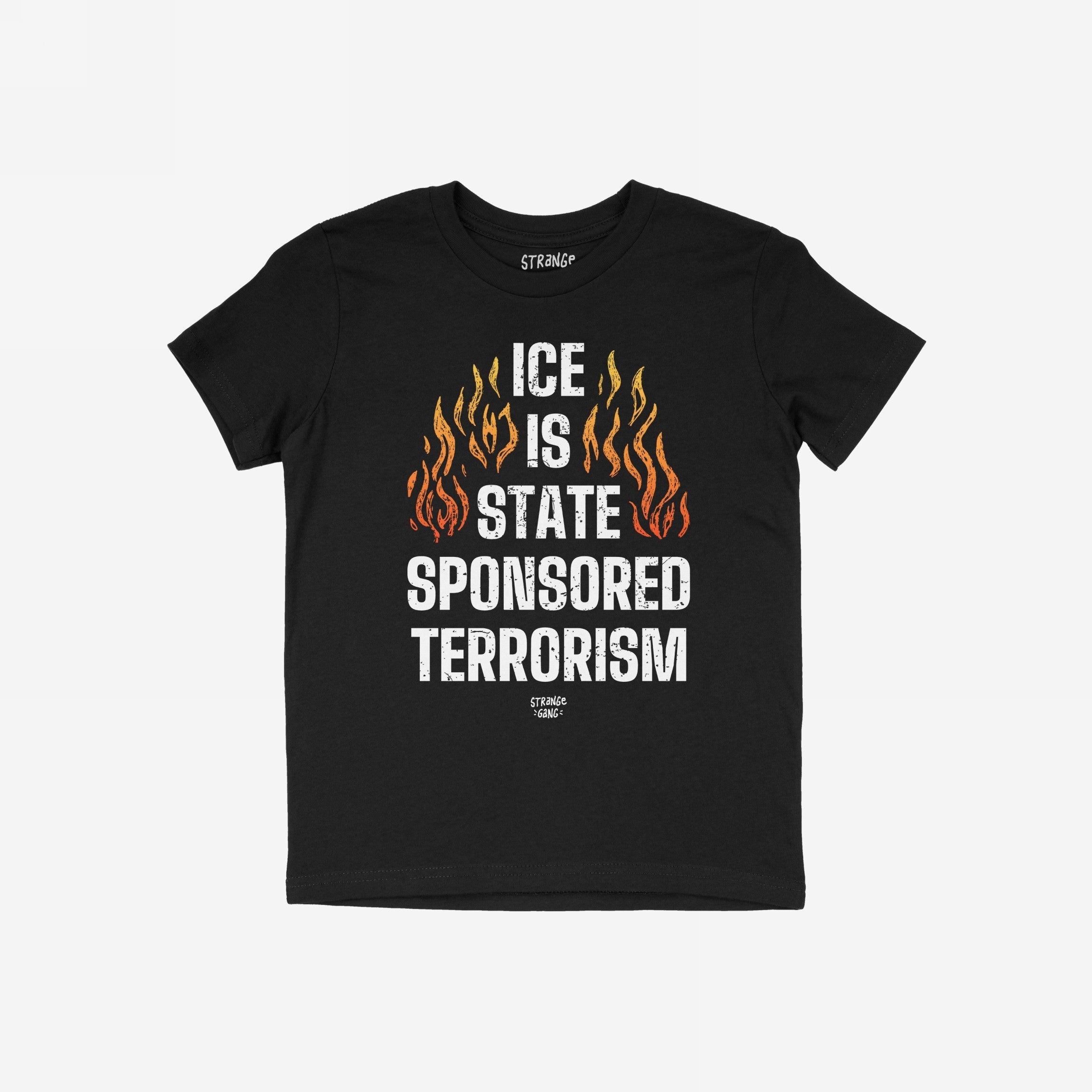 Black T-shirt featuring bold text ICE Is State Sponsored Terrorism framed by orange/yellow flames, designed for protest and advocacy. Perfect for activists demanding immigrant rights.