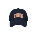 Illinois Flipped Dad Hat