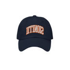 Illinois Flipped Dad Hat