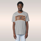 Illinois Flipped T-shirt