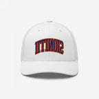 Illinois Flipped Hat